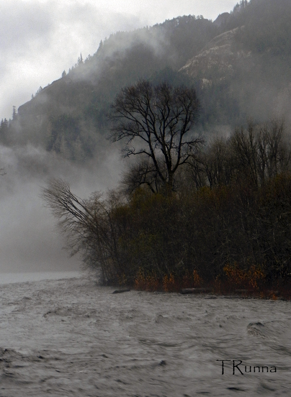 The Elwha River in the Mist