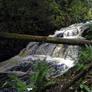 The Upper Falls