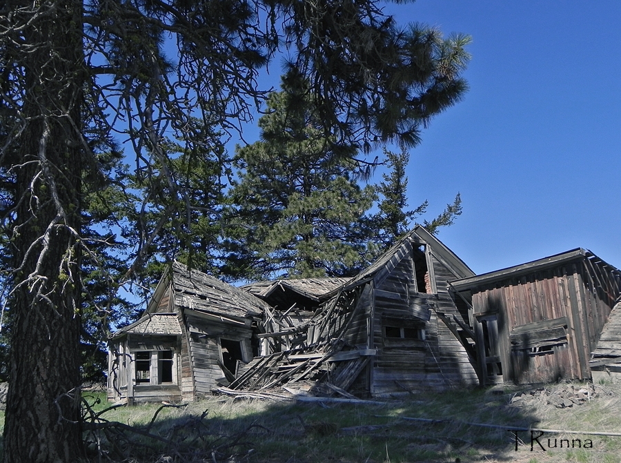 Beneath the Pines