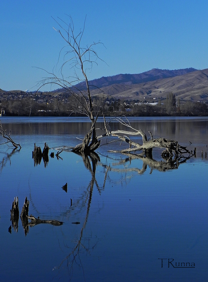 Reflections from a Winter Afternoon 