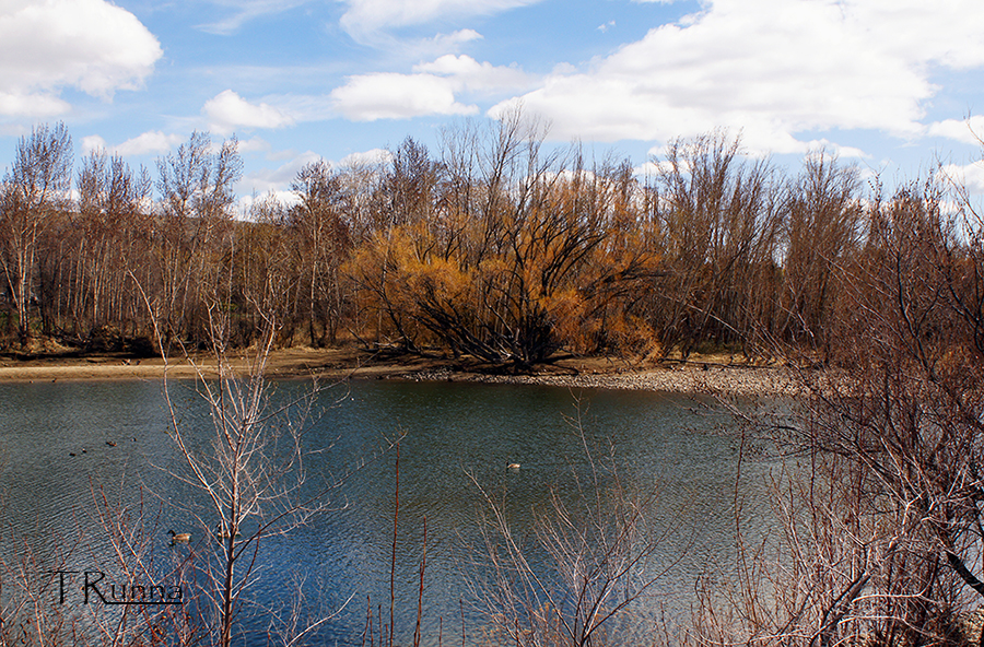 The End of Autumn 