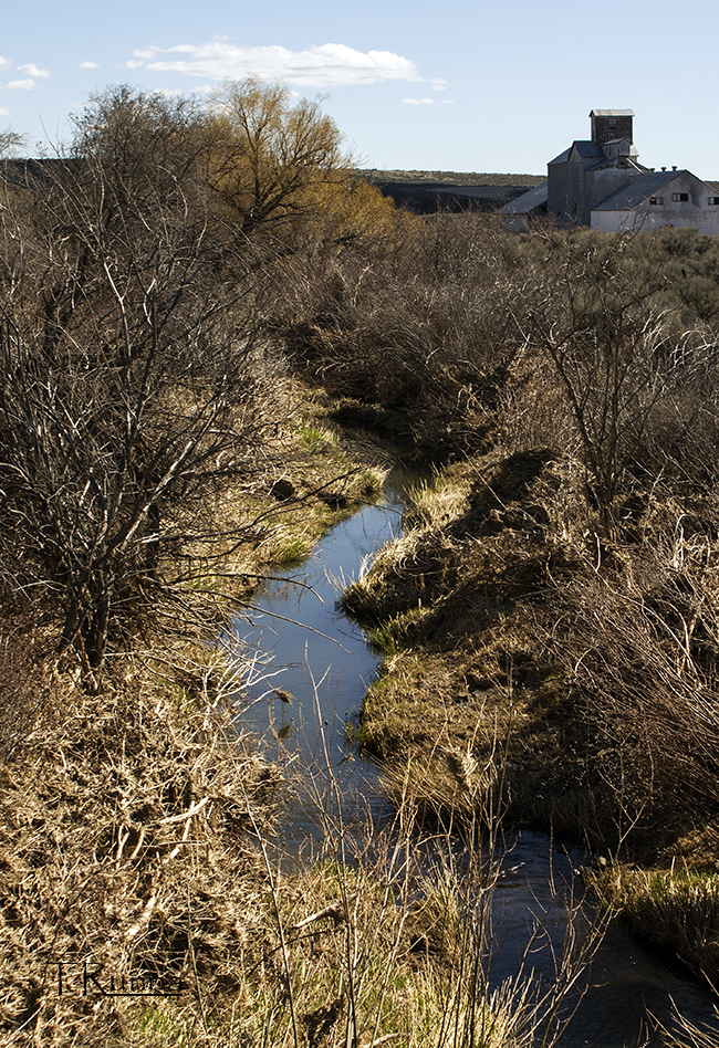 Douglas Creek 