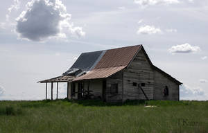 In a Field Somewhere