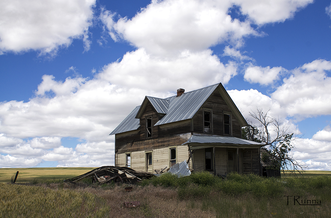 Yellow House - Metal Roof