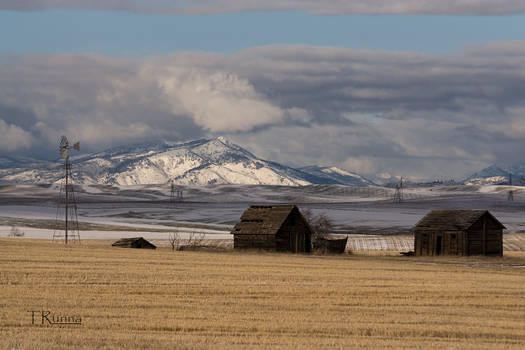 Empty Fields 