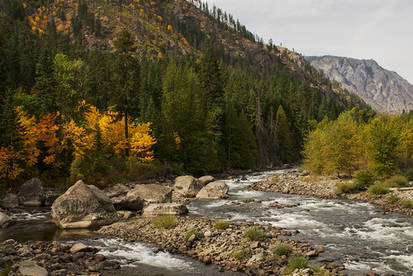 Autumn Color