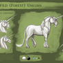 Wild (forest) Unicorn Reference Sheet