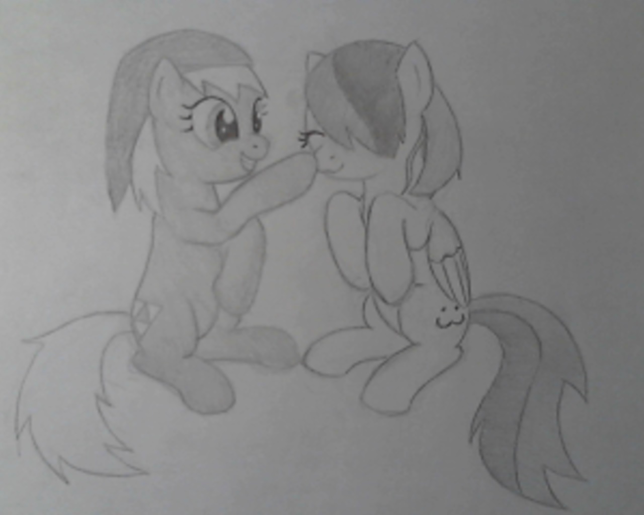 Epony boops Simper's nose