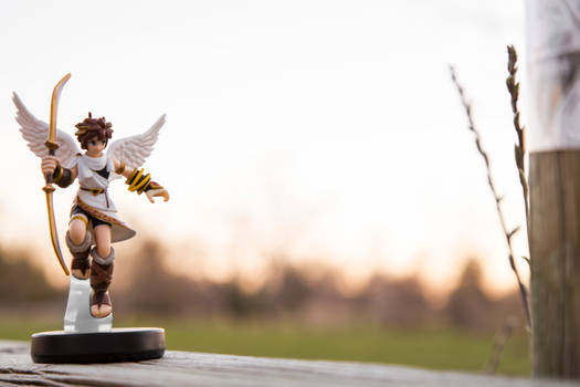 Pit Amiibo