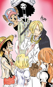 A5c77jwk6 6mpm A5c77jwk6 6mpm