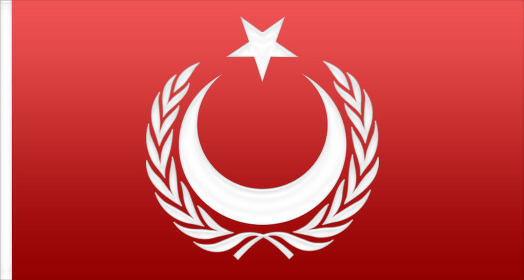 Flag of the Turkic Khanate - 3