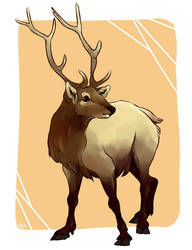 Elk Commission
