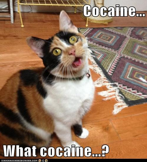 What Cocaine...?
