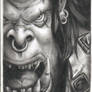 Orc - Warcraft