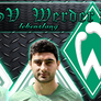Facebook Chronic Banner SV Werder Bremen