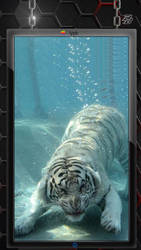 Underwater Tiger