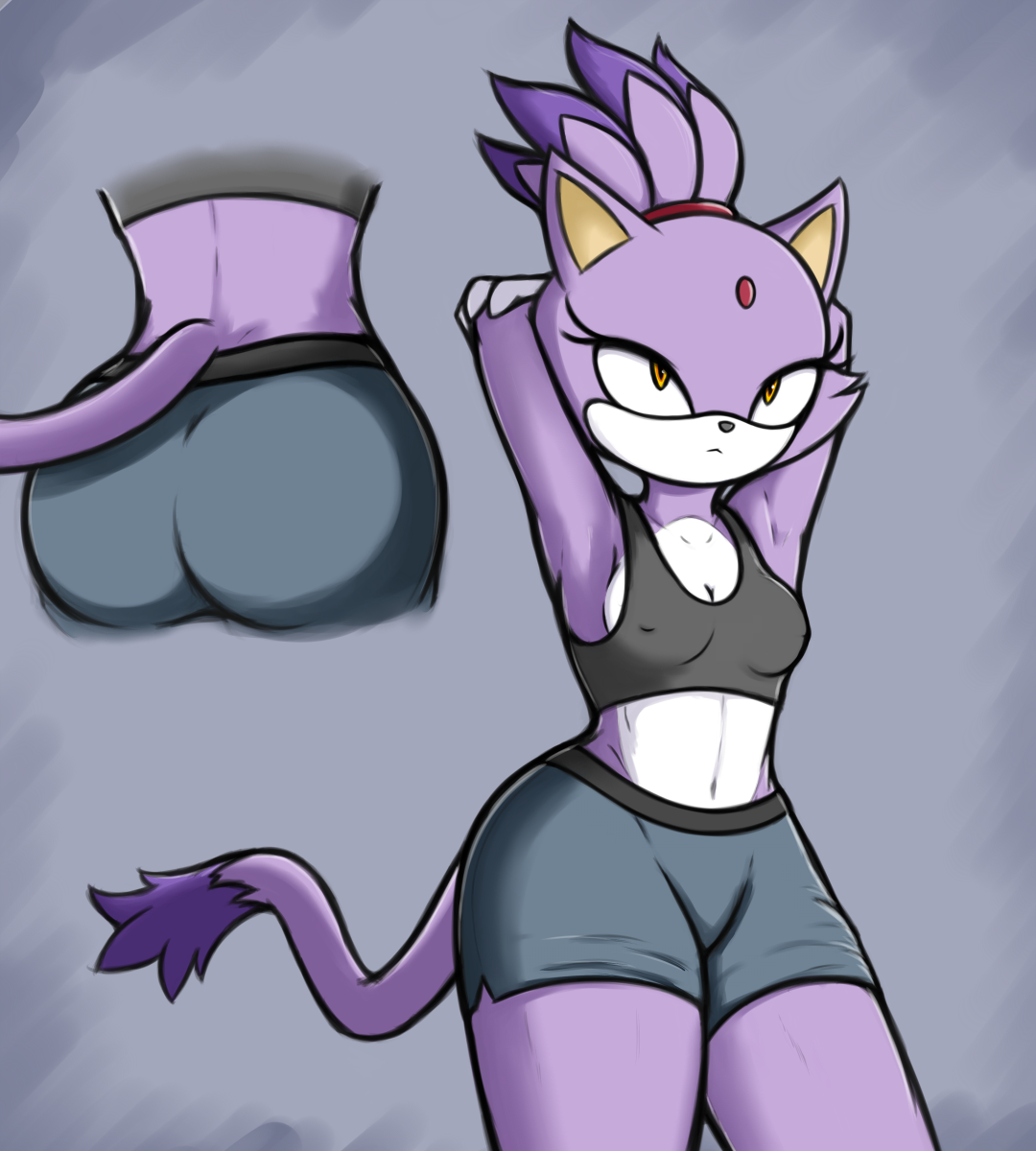 Blaze The Cat By BasileusKierus On DeviantArt blaze-the-cat-by-basileuskierus-on-deviantart