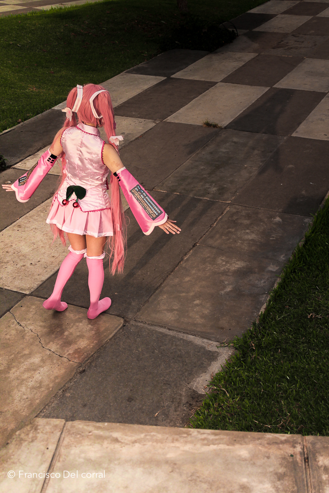 Sakura Miku shadow