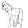 Mare looking back lineart