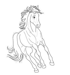 Horse Lineart front PNG
