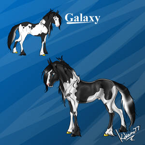 Galaxy NEW Reference