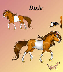 Dixie NEW Reference