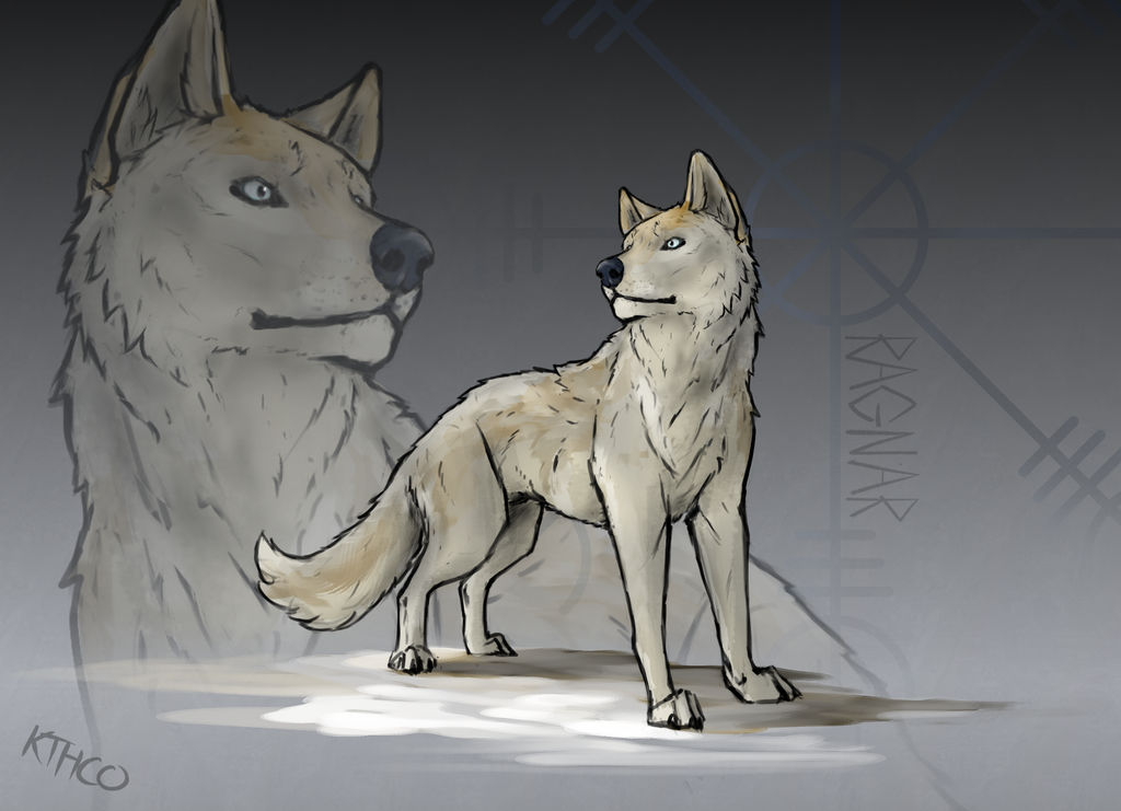 Ragnar by Kthco on DeviantArt