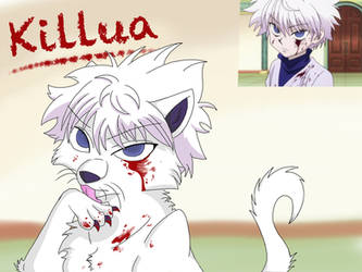 Kitty Cat Killua