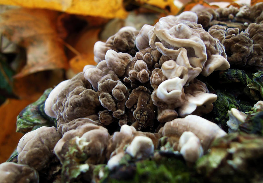 Microphobia by Kereboner on DeviantArt