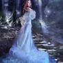Heart of fairy tale