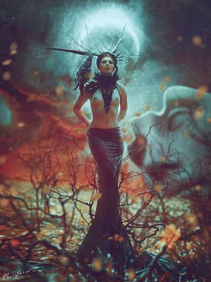 Dark Messenger by clair0bscur