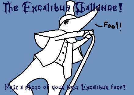 The Excalibur Challenge