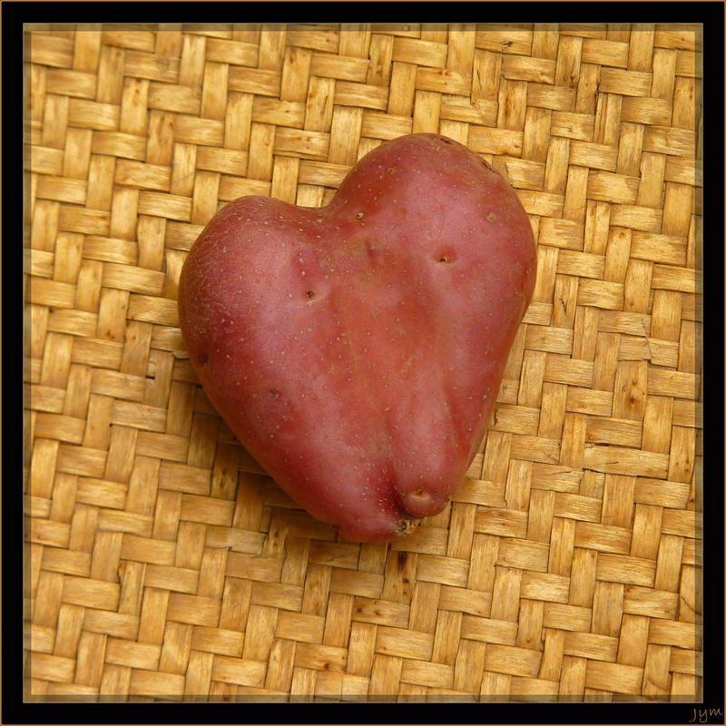 Lovely potato