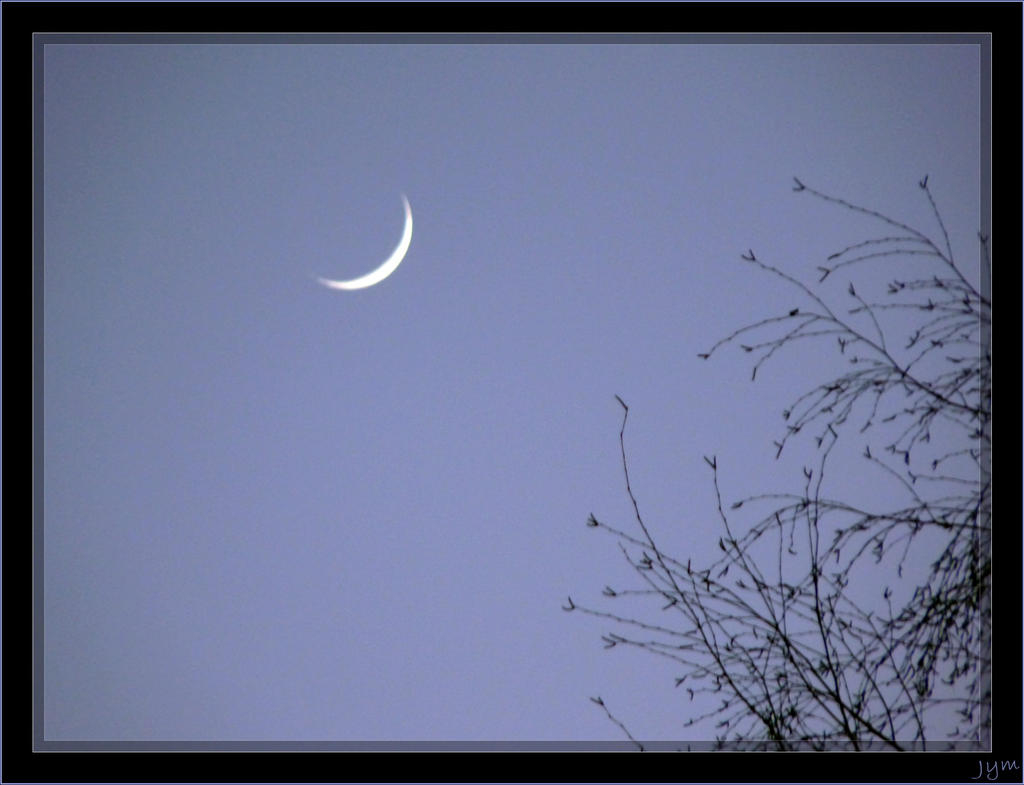 Moon crescent - 1