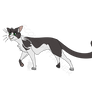 Mountaindew (Warrior Cats OC)