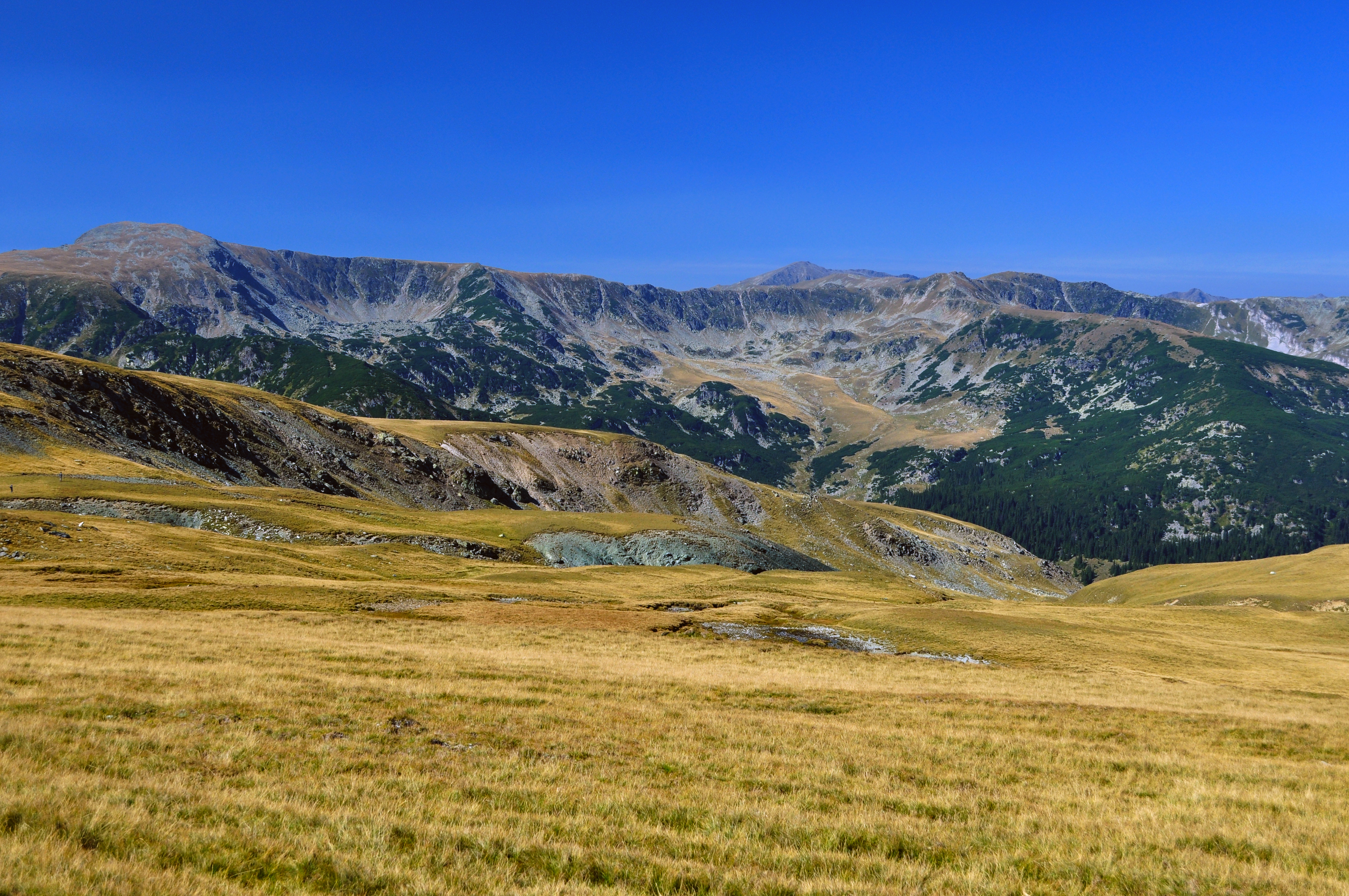 Undeva pe Transalpina