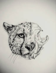 Cheetah Half Skull Drawing