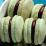 Mint Macarons