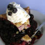 Blueberry Pie 1