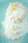 Lemon Meltaways 1 by bittykate Lemon Meltaways 1 by bittykate