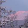 Pink Mountains