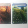 MTG Land Cards Alter Set