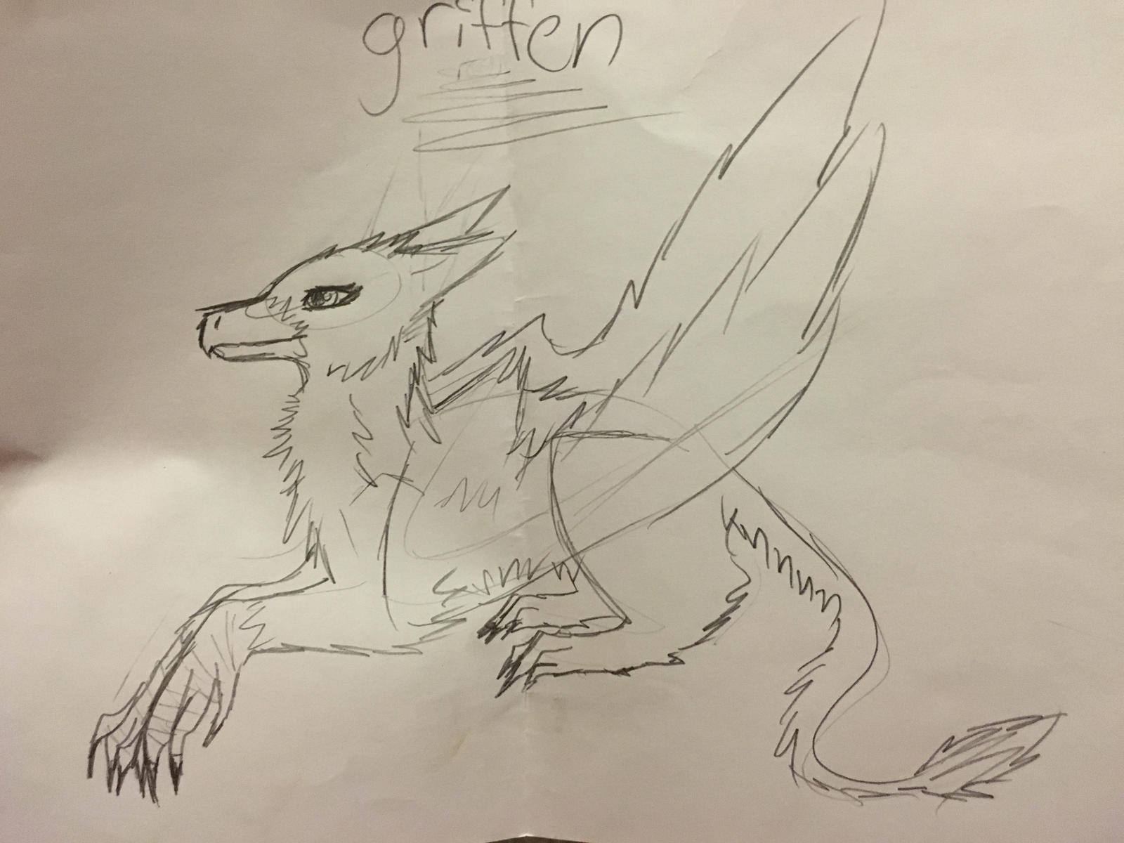 Griffin by Piggy32551 on DeviantArt
