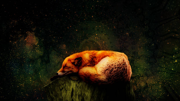 Sleeping fox 1920x1080p v3 AbstractBg Misko.png