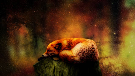Sleeping fox 1920x1080p v3 Dream Misko