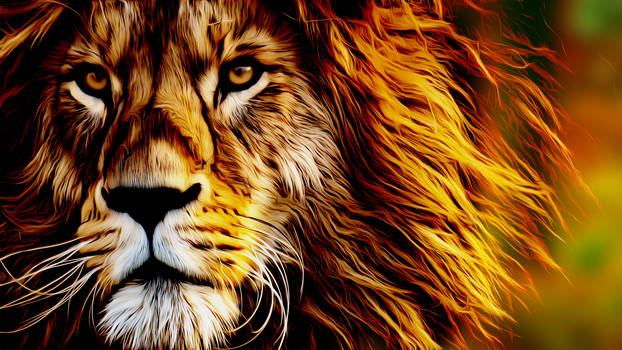 Lion 1920x1080p Misko