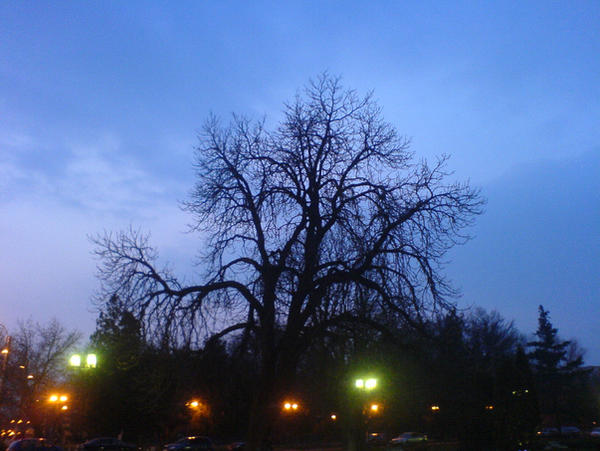 Raising shadow by TYGRON on DeviantArt