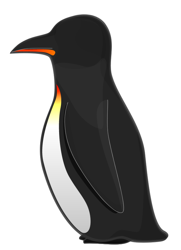 A Lone Penguin