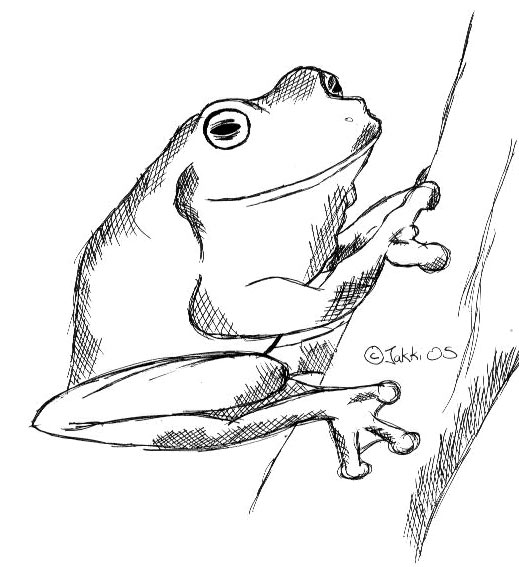 Frog