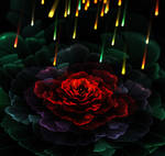 Fire and rose. by Kondratij